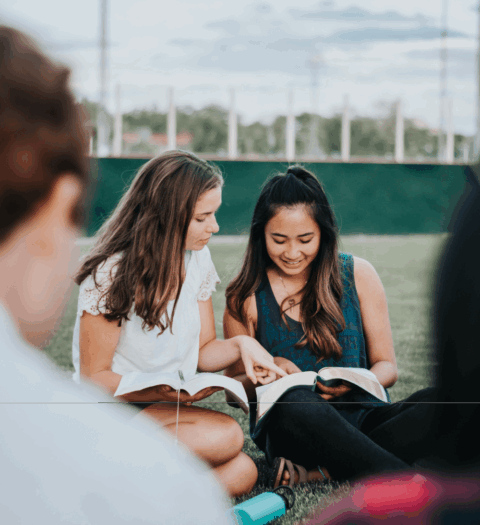 Students Reading On The Grass Together
